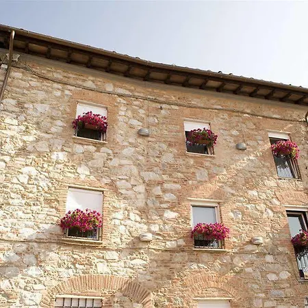Leone Di San Donato